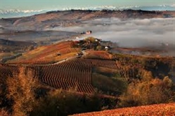 Terre del Barolo:  la migliore cooperativa vitivinicola d’Italia
